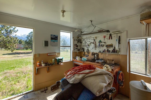 misc room featuring a workshop area and a wealth of natural light