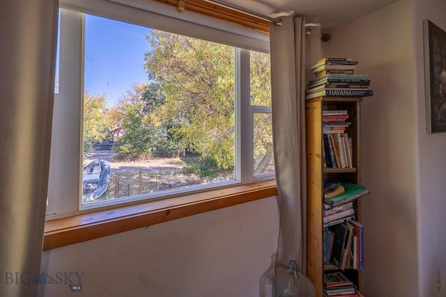 124 S M St, Livingston, MT 59047 - view of interior details