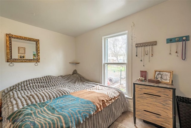 124 S M St, Livingston, MT 59047 - bedroom featuring light colored carpet