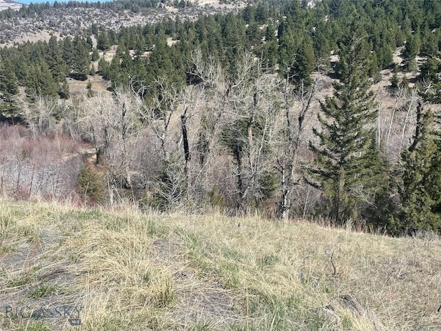 TBD S Boulder Rd, Cardwell, MT 59721 - photo 3