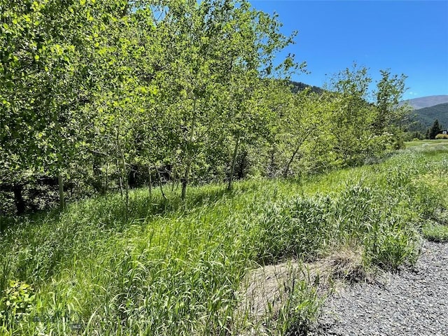 LOT10 Boulder Riv, Cardwell, MT 59721