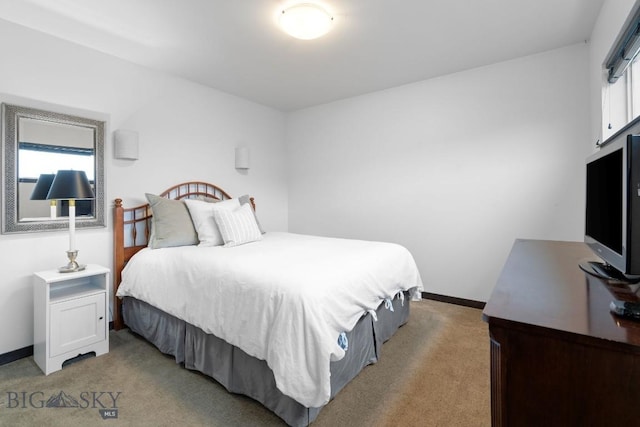 2448 Gallatin Green Blvd Unit F, Bozeman, MT 59718 - bedroom with baseboards, multiple windows, and light colored carpet