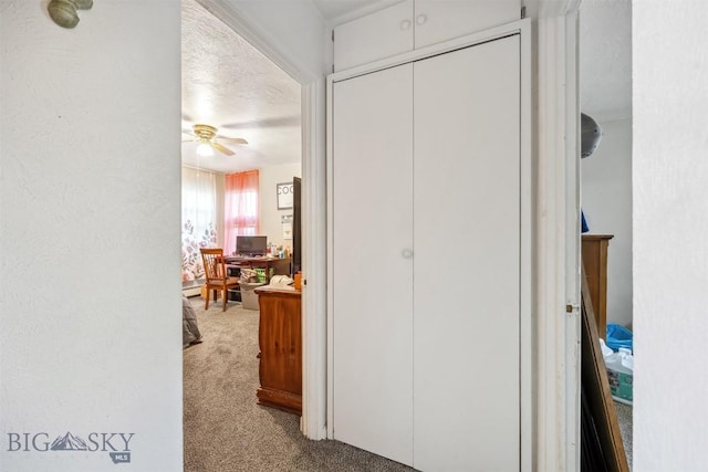 2300 S Dr, Butte, MT 59701 - hall featuring carpet floors