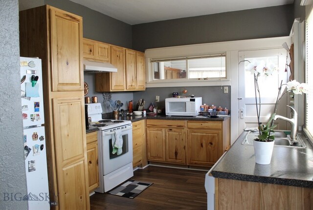 1016 S Colorado, Butte, MT 59701