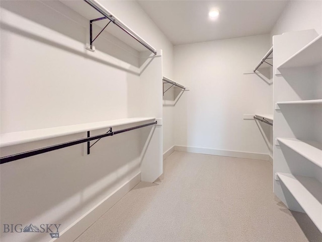 view of walk in closet