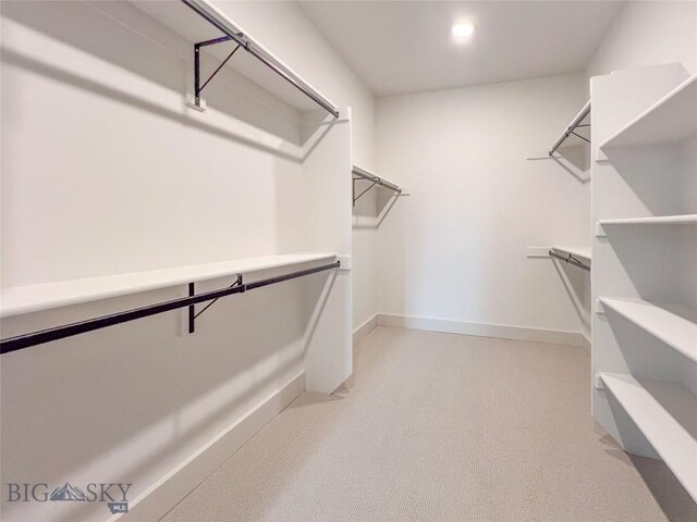 51 W Granite Peak, Bozeman, MT 59718 - view of spacious closet