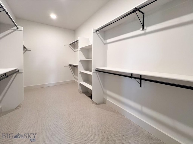 51 W Granite Peak, Bozeman, MT 59718 - view of walk in closet