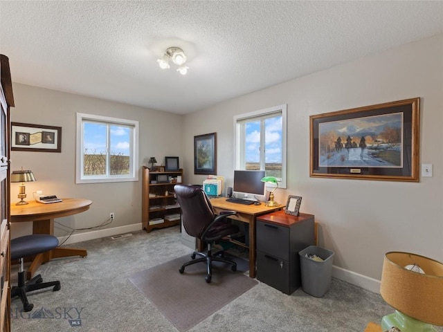 carpeted office space with plenty of natural light, a textured ceiling, and baseboards