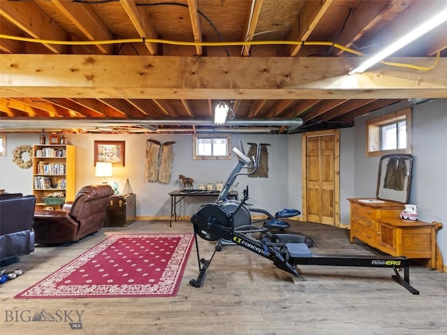 workout area with wood finished floors and a wealth of natural light