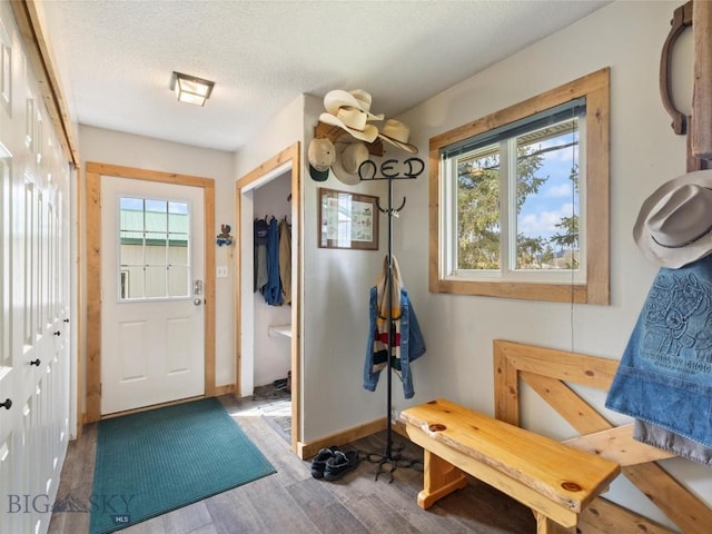 mudroom with baseboards, a textured ceiling, a wealth of natural light, and wood finished floors
