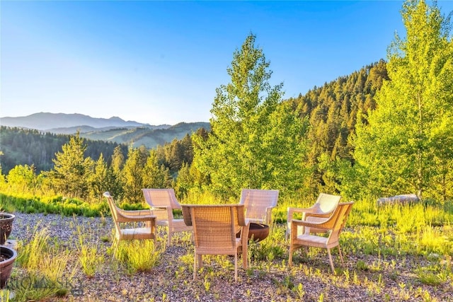 280 Goose Ridge Rd, Bozeman, MT 59715 - photo 86