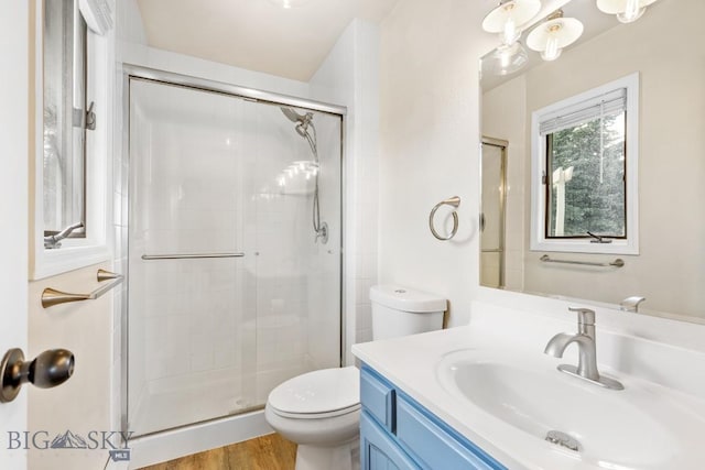 bathroom with vanity, toilet, wood finished floors, and a stall shower