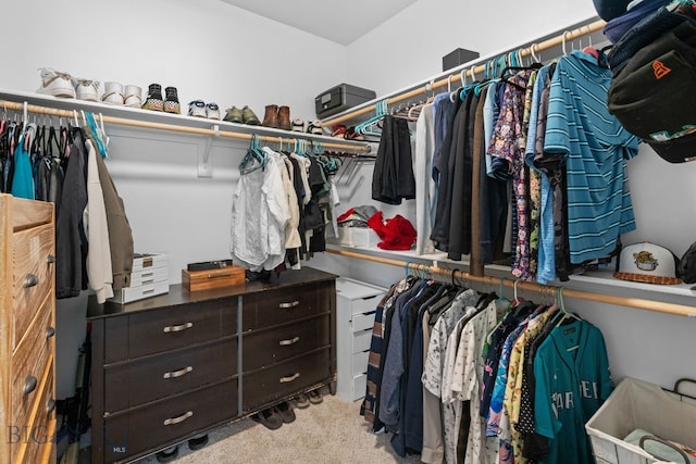 1604 Drummond Blvd, Belgrade, MT 59714 - walk in closet with carpet flooring