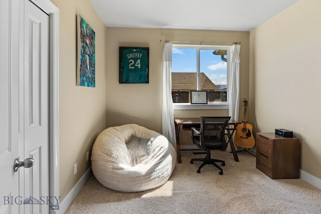 1604 Drummond Blvd, Belgrade, MT 59714 - photo 41