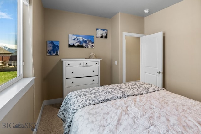 1604 Drummond Blvd, Belgrade, MT 59714 - carpeted bedroom featuring baseboards