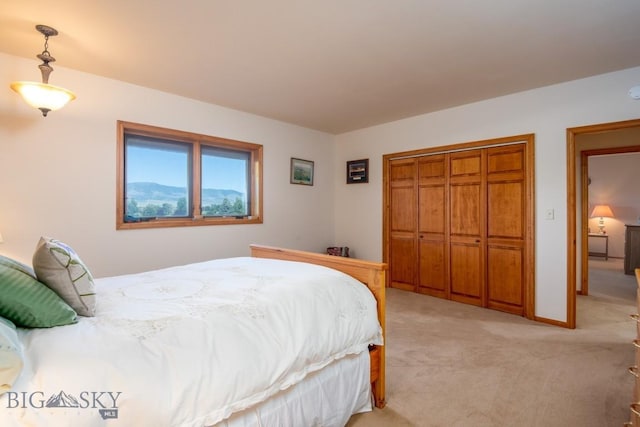 bedroom featuring light colored carpet and a closet