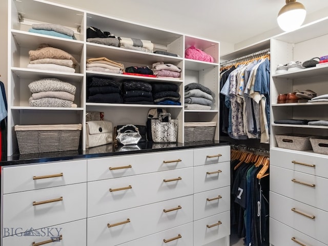 view of walk in closet