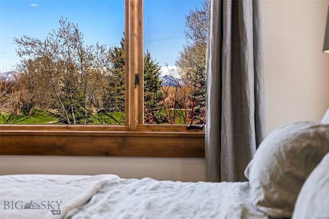 bedroom with multiple windows