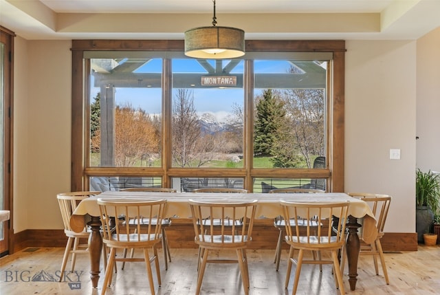 dining space with baseboards, a healthy amount of sunlight, and hardwood / wood-style flooring