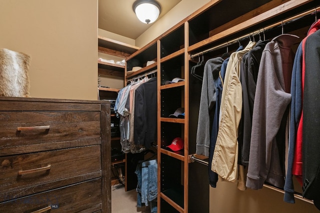 view of walk in closet