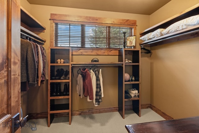 view of spacious closet