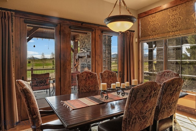 dining space featuring plenty of natural light and wood finished floors