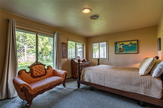 423 Riverview Ct, Great Falls, MT 59404 - view of carpeted bedroom