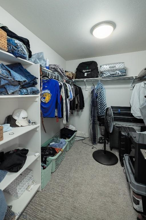 131 Stallion, Bozeman, MT 59718 - walk in closet with carpet flooring