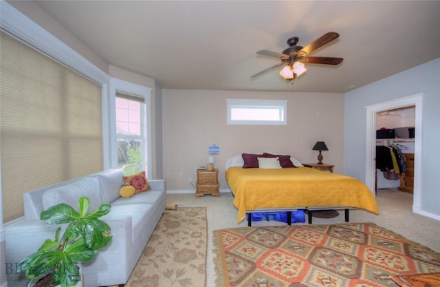 carpeted bedroom with baseboards, ceiling fan, and a walk in closet