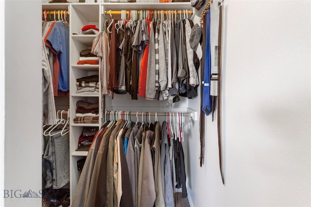 view of closet