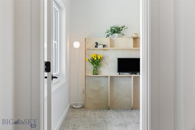 doorway to outside with carpet and baseboards