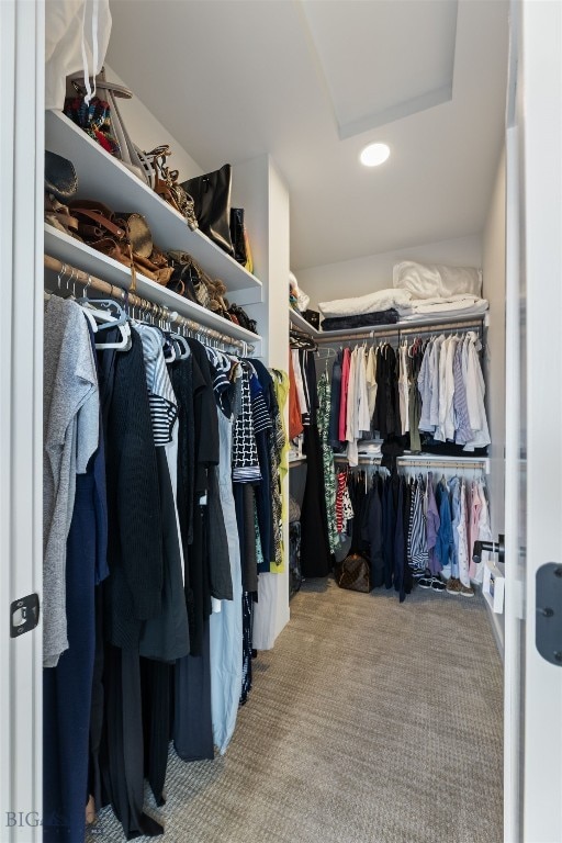 spacious closet with carpet and attic access