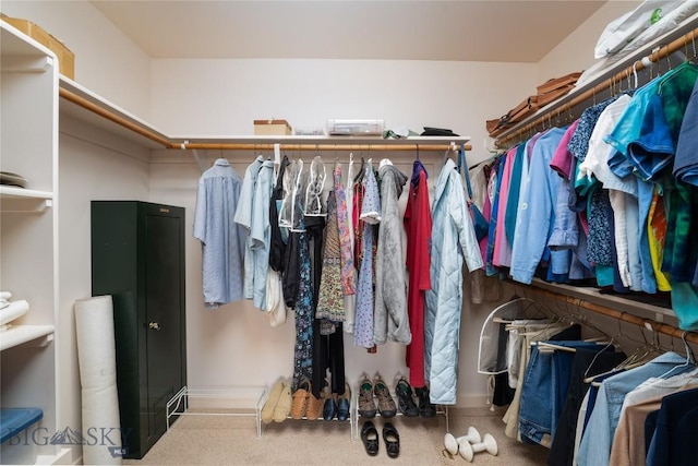 walk in closet with carpet floors