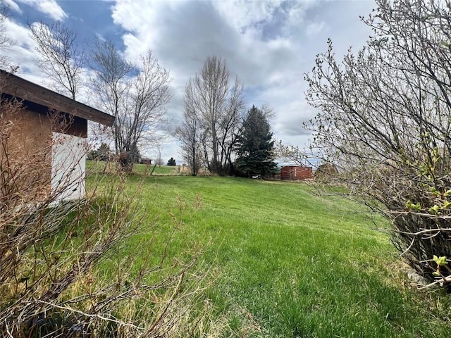 view of yard