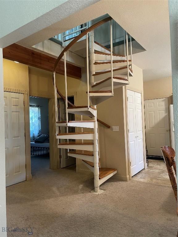 93 8th St Unit B, Belgrade, MT 59714 - staircase featuring carpet flooring