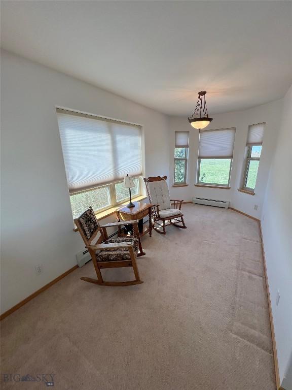 8265 Fowler Ln, Bozeman, MT 59718 - sitting room with a baseboard radiator, healthy amount of natural light, light colored carpet, and baseboards