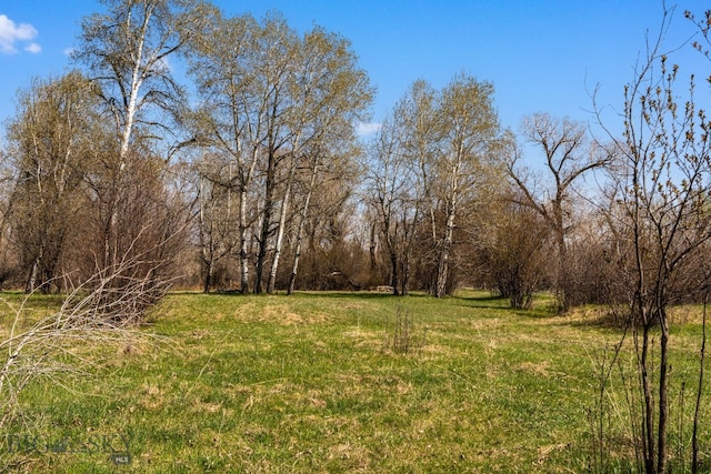 624 Rocking Horse Dr, Bozeman, MT 59718 - view of yard