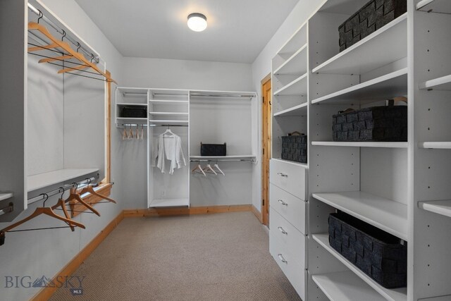 624 Rocking Horse Dr, Bozeman, MT 59718 - spacious closet featuring carpet flooring
