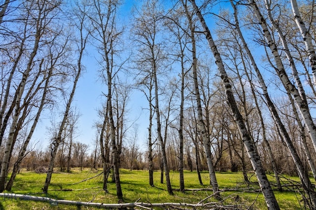 624 Rocking Horse Dr, Bozeman, MT 59718 - view of landscape