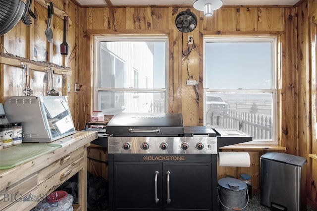 kitchen featuring dark cabinetry and wood walls