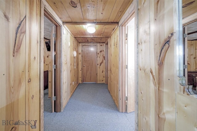 corridor featuring wooden walls, wood ceiling, and carpet