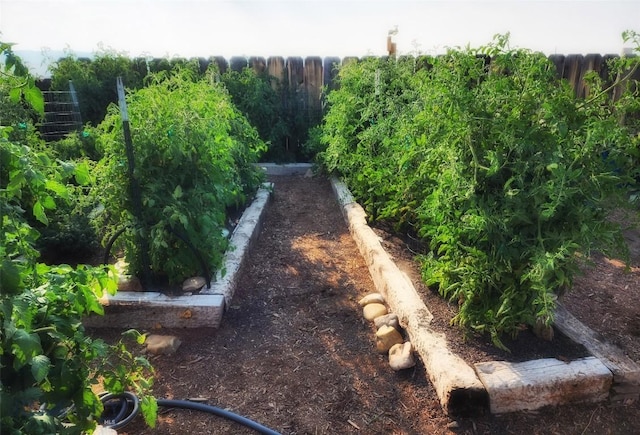 view of yard with fence and a vegetable garden