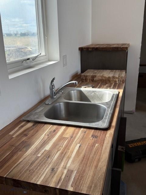 kitchen featuring wood counters, a sink, and wood finished floors
