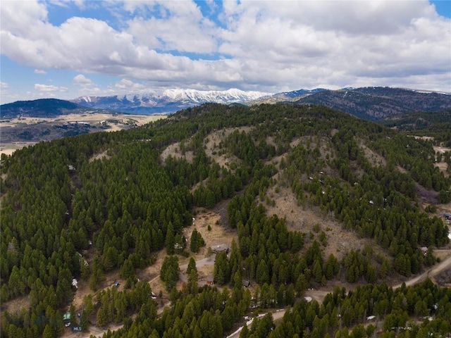 189 Quinn Creek Rd, Bozeman, MT 59715 - view of mountain feature with a forest view