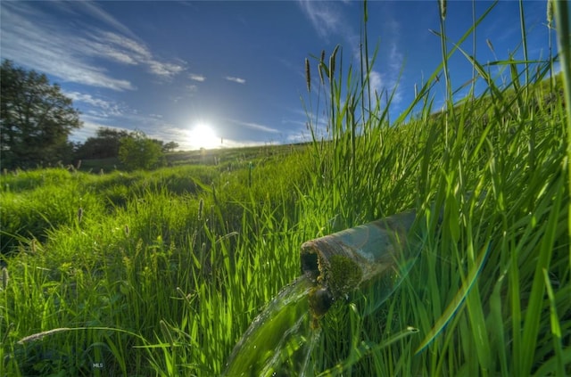 14549 High Flat Rd, Bozeman, MT 59718 - view of nature