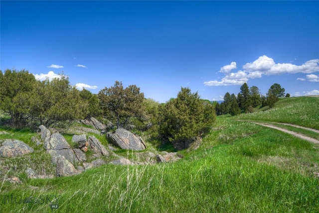 14549 High Flat Rd, Bozeman, MT 59718 - view of local wilderness