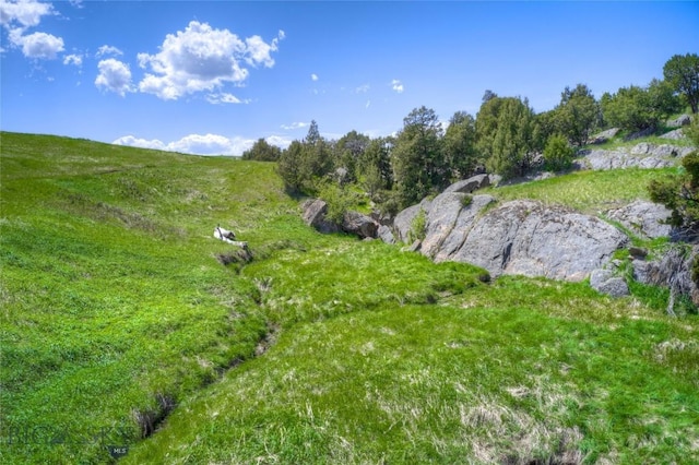 14549 High Flat Rd, Bozeman, MT 59718 - view of yard