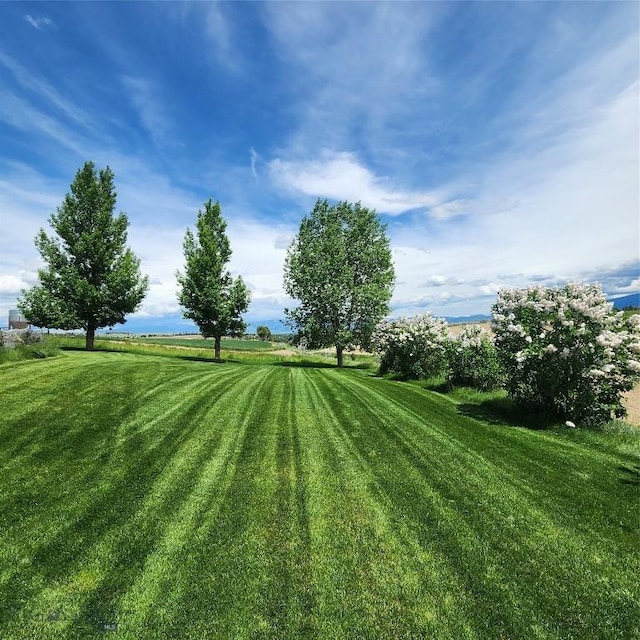 14549 High Flat Rd, Bozeman, MT 59718 - view of grassy yard