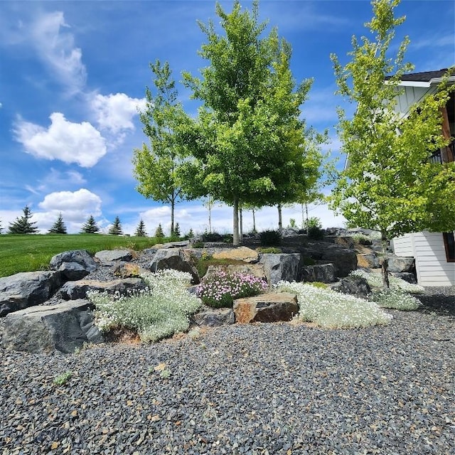 14549 High Flat Rd, Bozeman, MT 59718 - view of yard