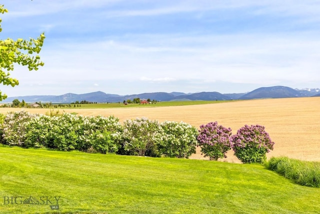 14549 High Flat Rd, Bozeman, MT 59718 - view of green lawn with a mountain view and a rural view